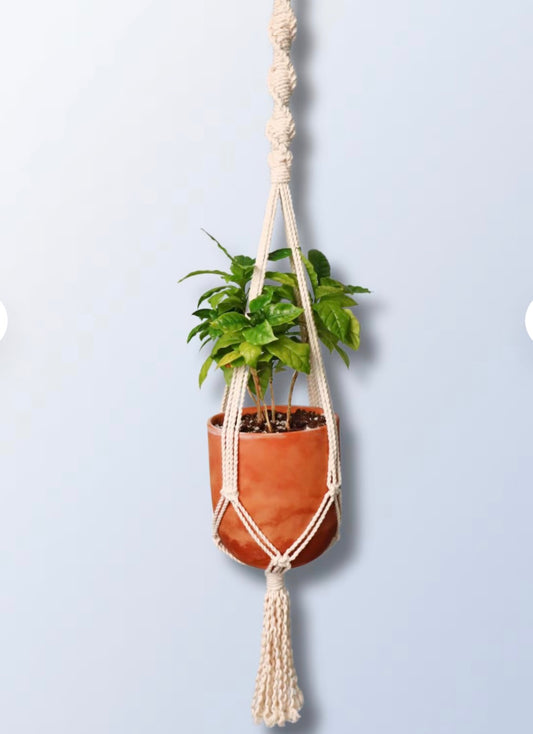 Macrame Plant hanger Class! Thursday, April 3